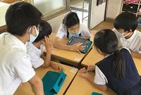 ５月１４日 金 インゲンマメの発芽の実験 岡崎市立六名小学校